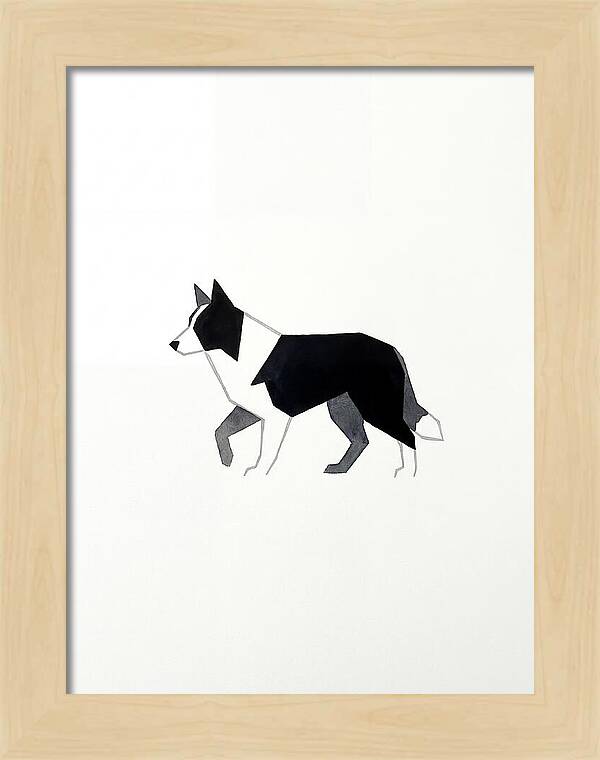 Border Collie Silhouette