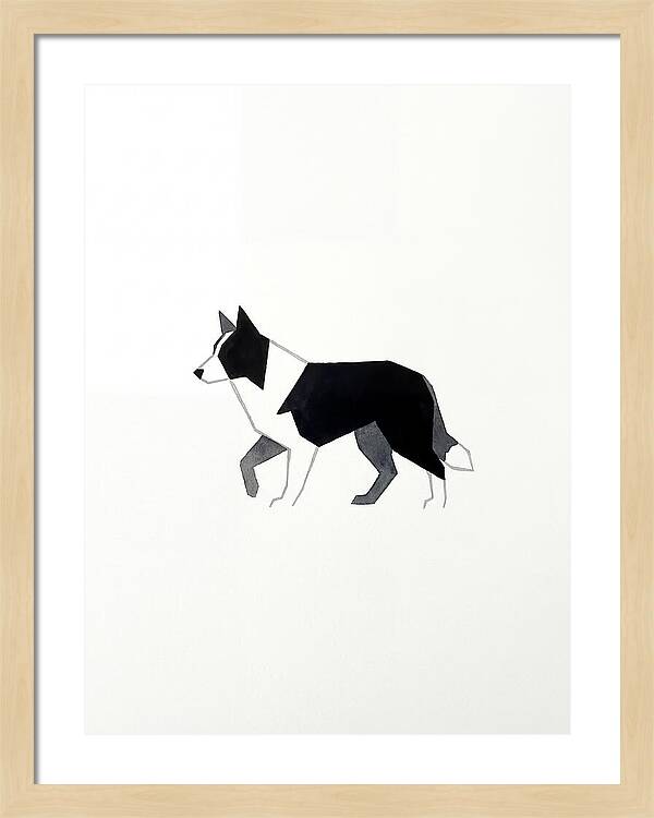 Border Collie Silhouette