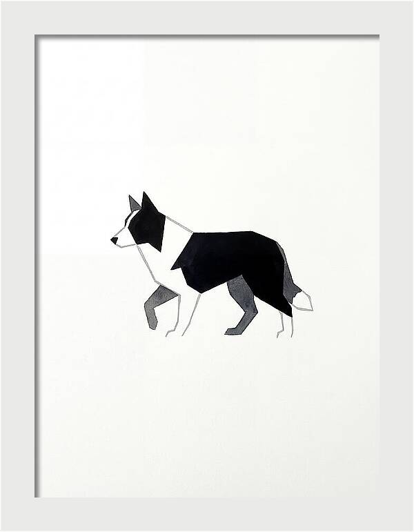 Border Collie Silhouette