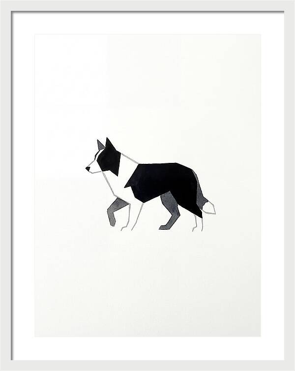 Border Collie Silhouette