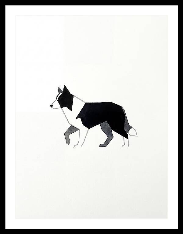 Border Collie Silhouette