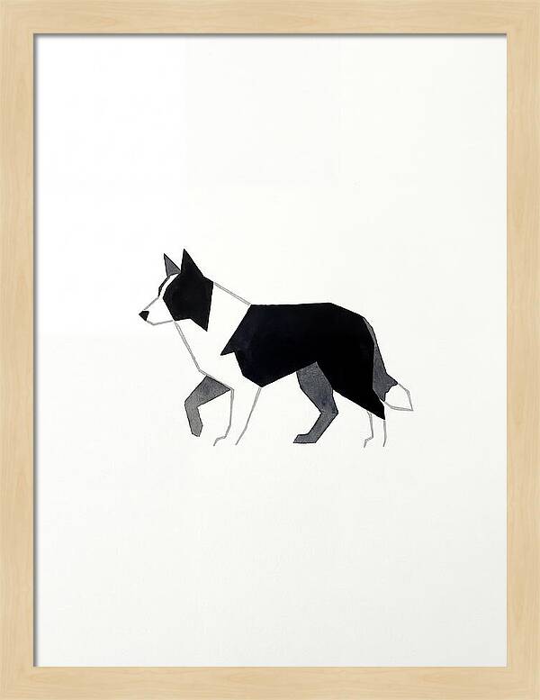 Border Collie Silhouette
