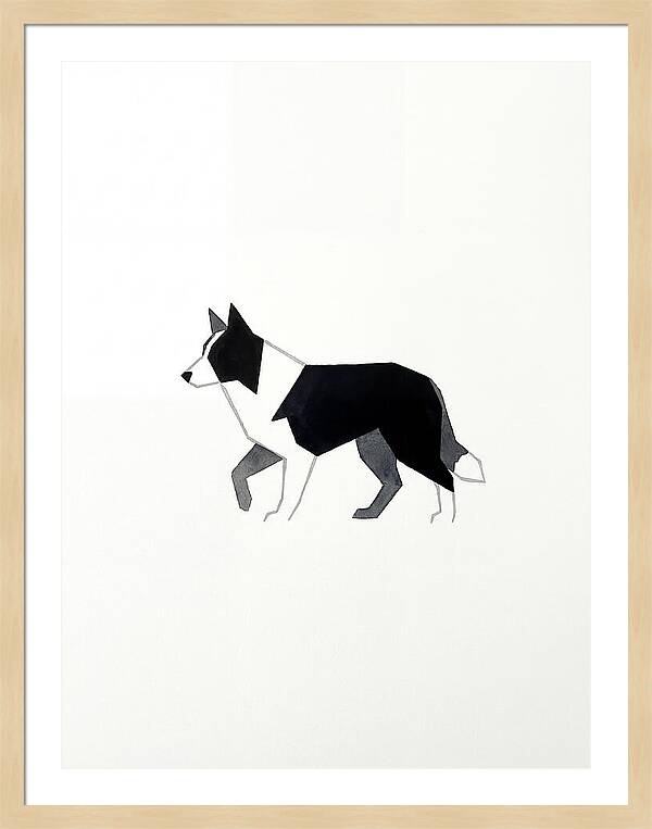 Border Collie Silhouette