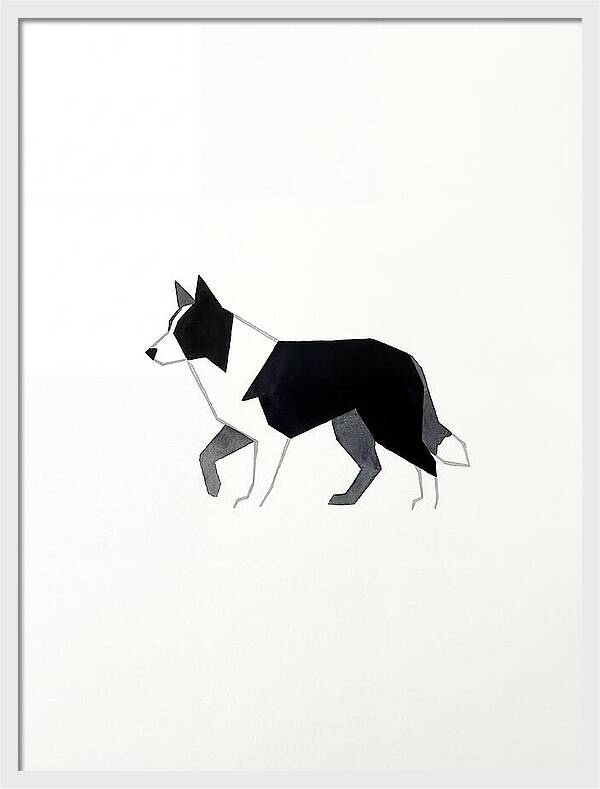 Border Collie Silhouette
