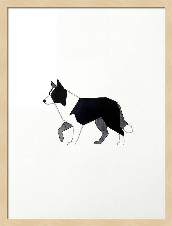 Border Collie Silhouette