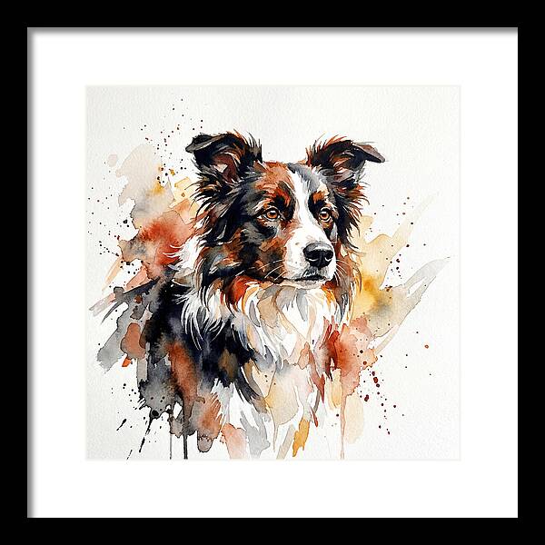 Border Collie Watercolor Portrait