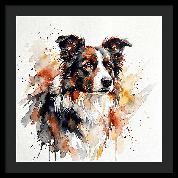 Border Collie Watercolor Portrait