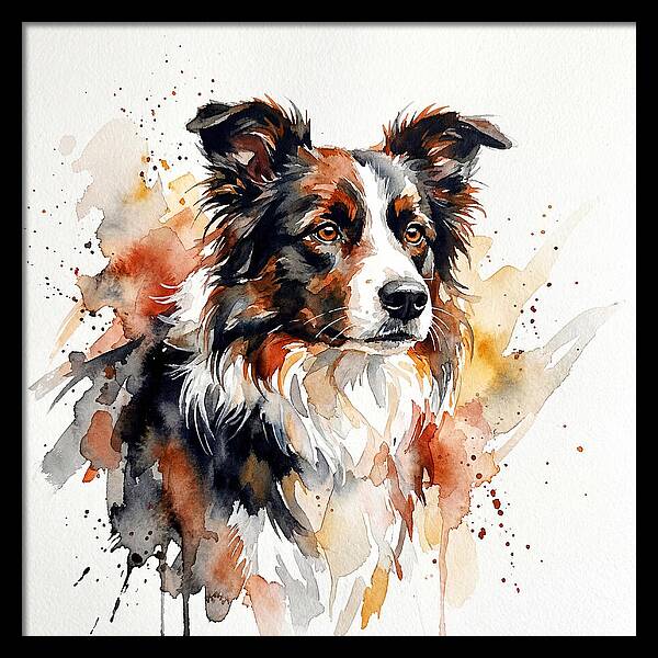 Border Collie Watercolor Portrait