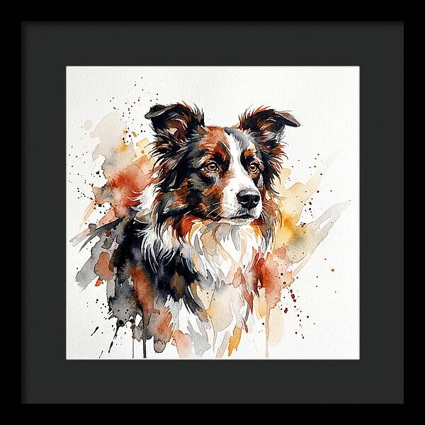 Border Collie Watercolor Portrait