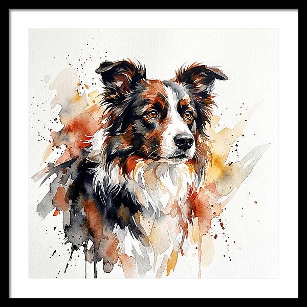 Border Collie Watercolor Portrait