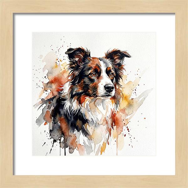 Border Collie Watercolor Portrait