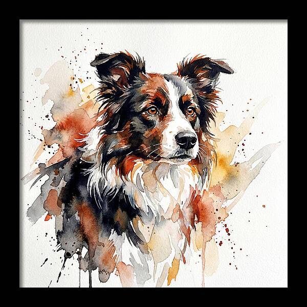 Border Collie Watercolor Portrait