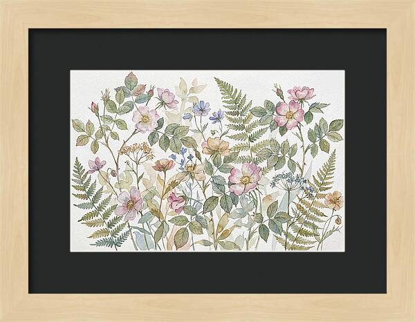 Botanical Study In Watercolor