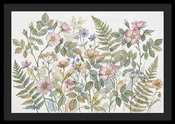 Botanical Study In Watercolor