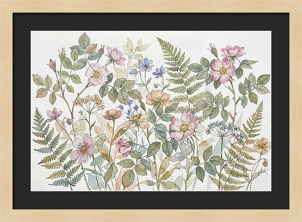 Botanical Study In Watercolor