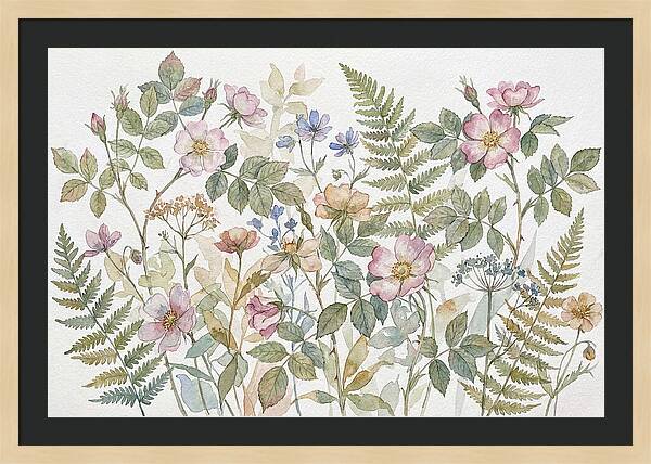 Botanical Study In Watercolor