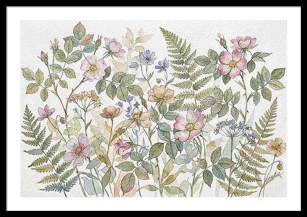 Botanical Study In Watercolor