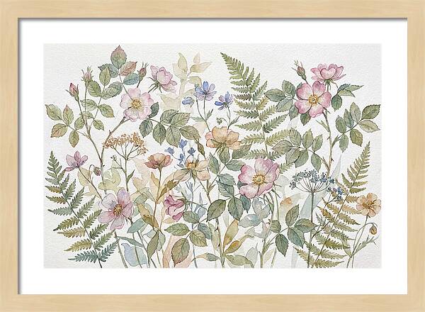 Botanical Study In Watercolor