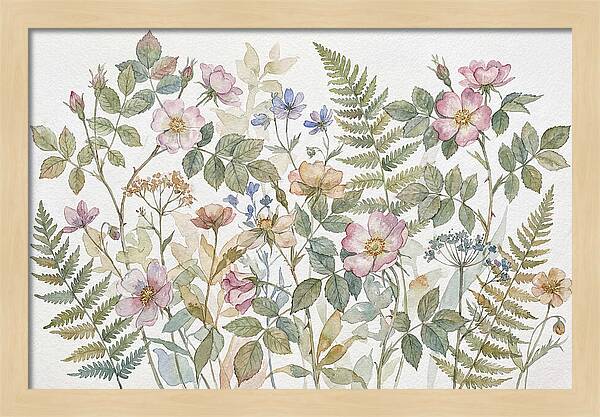 Botanical Study In Watercolor