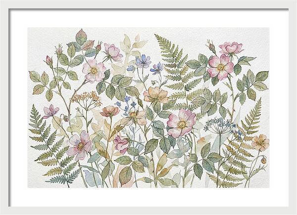 Botanical Study In Watercolor