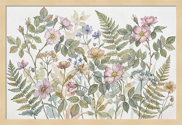 Botanical Study In Watercolor