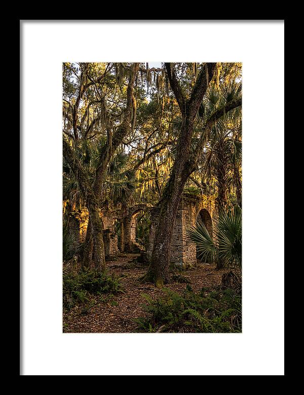 Botany Bay Forest Ruins
