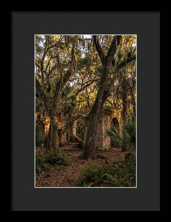 Botany Bay Forest Ruins