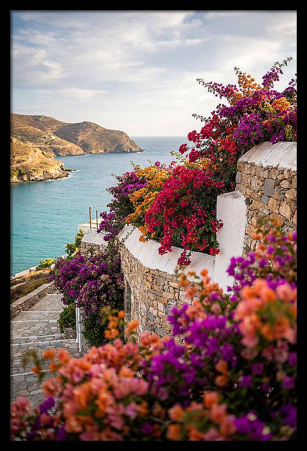 Bougainvillea By The Sea