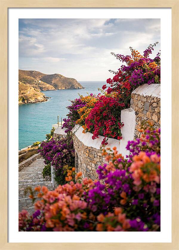 Bougainvillea By The Sea