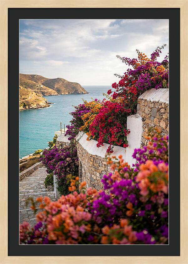 Bougainvillea By The Sea