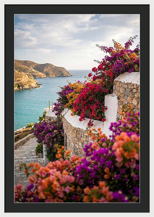 Bougainvillea By The Sea