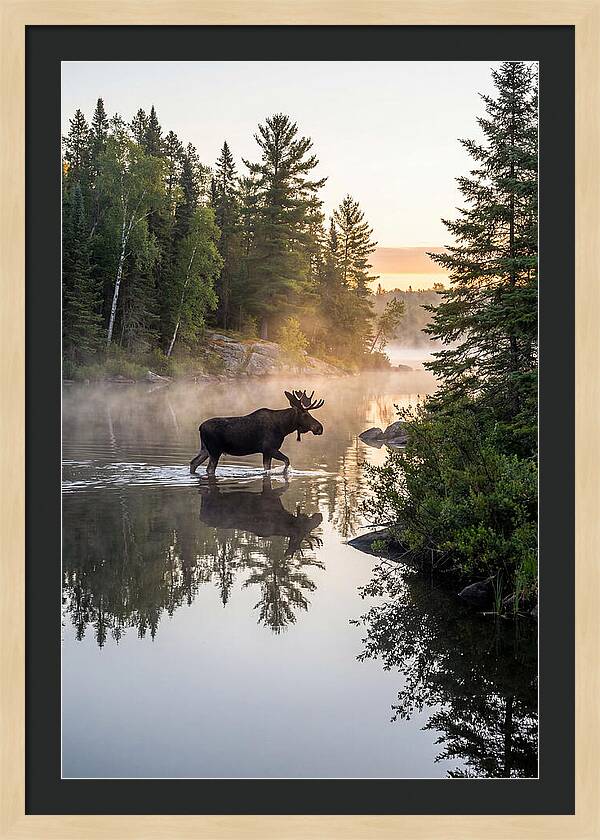 Boundary Waters Canoe Area Wilderness