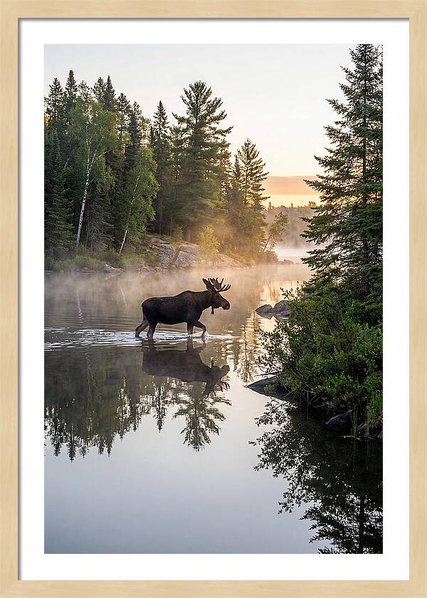 Boundary Waters Canoe Area Wilderness
