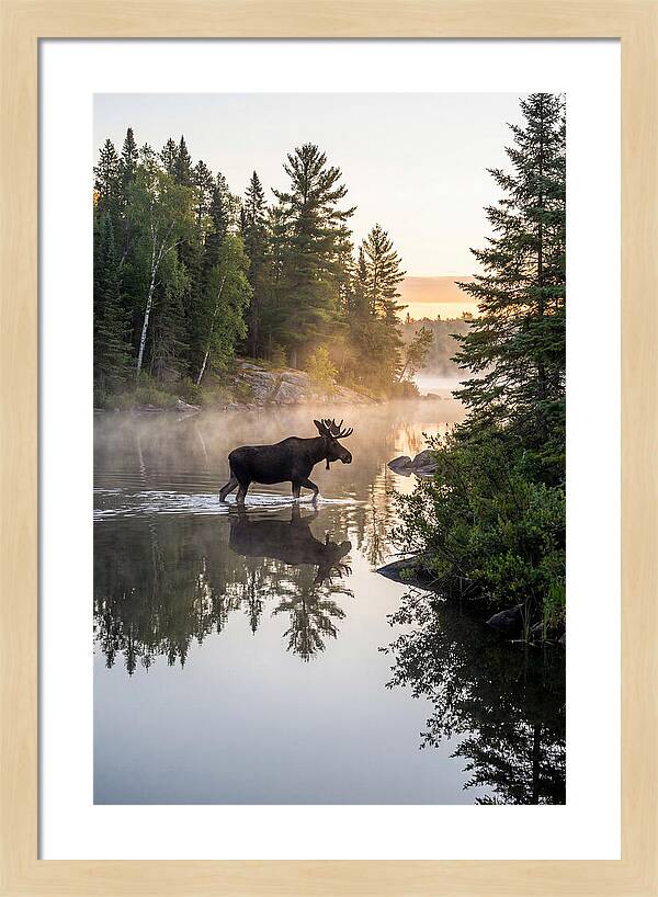 Boundary Waters Canoe Area Wilderness