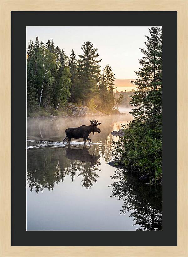 Boundary Waters Canoe Area Wilderness