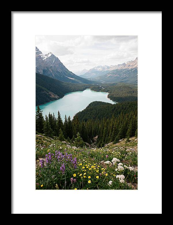 Bow Summit Overlooking Peyto Lake