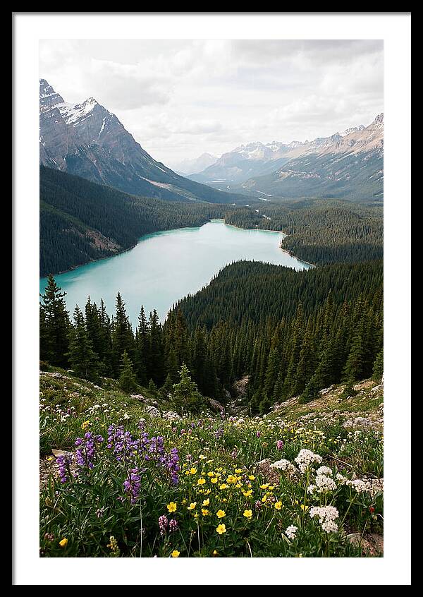 Bow Summit Overlooking Peyto Lake