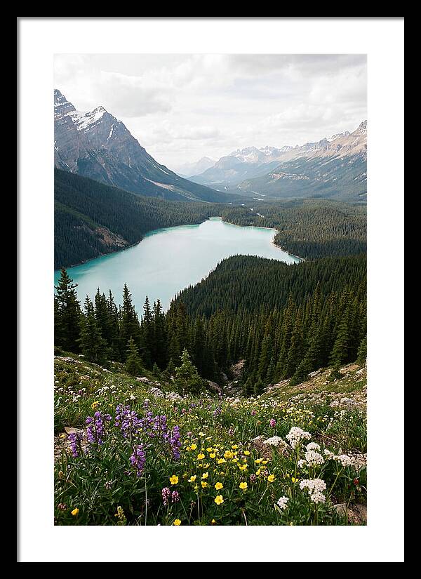 Bow Summit Overlooking Peyto Lake