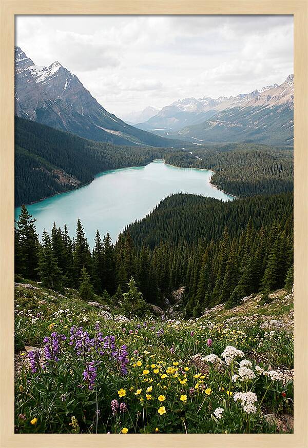 Bow Summit Overlooking Peyto Lake