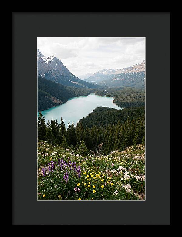 Bow Summit Overlooking Peyto Lake