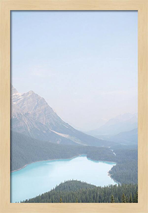 Bow Summit Overlooking Peyto Lake