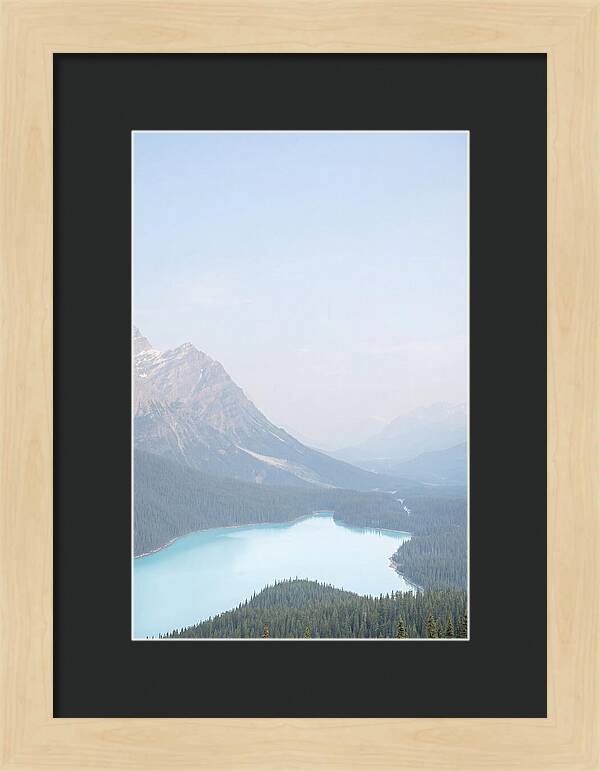Bow Summit Overlooking Peyto Lake