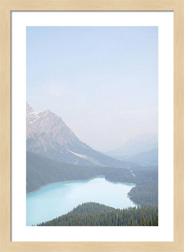 Bow Summit Overlooking Peyto Lake