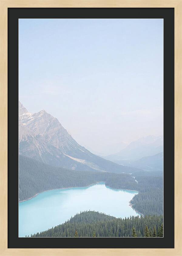 Bow Summit Overlooking Peyto Lake