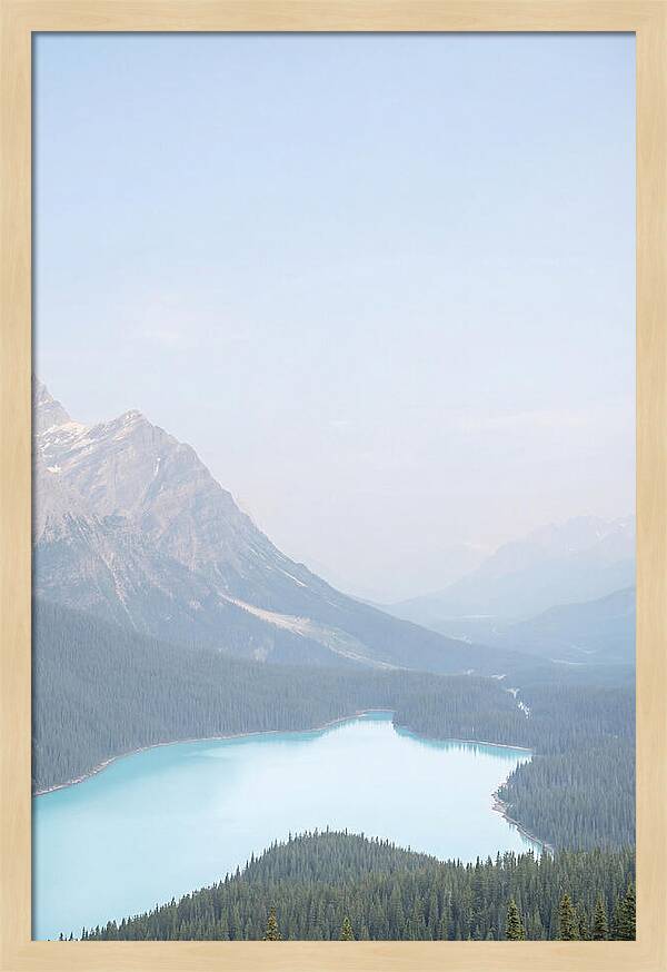 Bow Summit Overlooking Peyto Lake