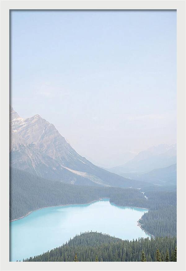 Bow Summit Overlooking Peyto Lake