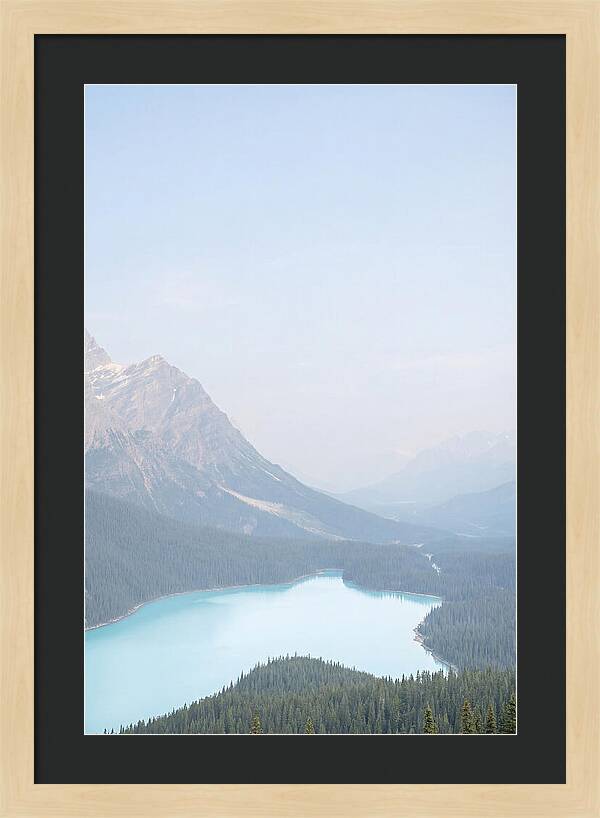 Bow Summit Overlooking Peyto Lake