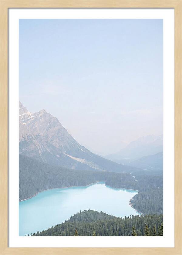 Bow Summit Overlooking Peyto Lake