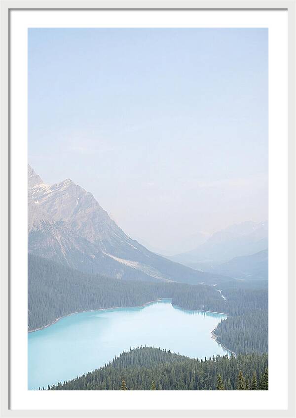 Bow Summit Overlooking Peyto Lake