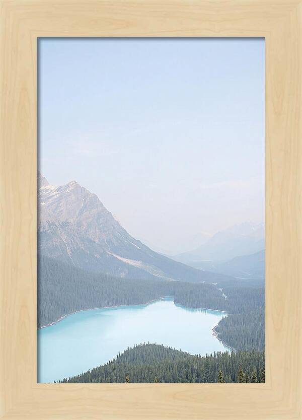 Bow Summit Overlooking Peyto Lake